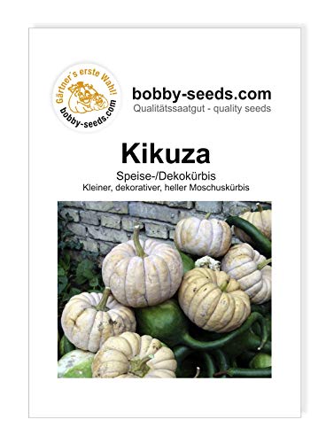Kikuza Kürbissamen von Bobby-Seeds, Portion von Gärtner's erste Wahl! bobby-seeds.com