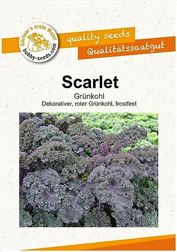 Kohlsamen Scarlet Grünkohl Portion von Gärtner's erste Wahl! bobby-seeds.com