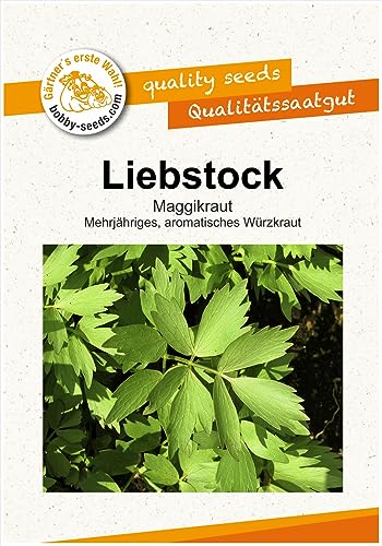 Kräutersamen Liebstock - Maggikraut Portion von Gärtner's erste Wahl! bobby-seeds.com