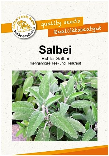 Kräutersamen Salbei Portion von Gärtner's erste Wahl! bobby-seeds.com
