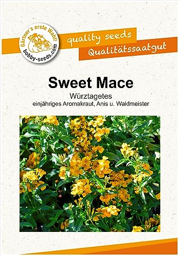 Kräutersamen Sweet Mace, Würz-Tagetes Portion von Gärtner's erste Wahl! bobby-seeds.com