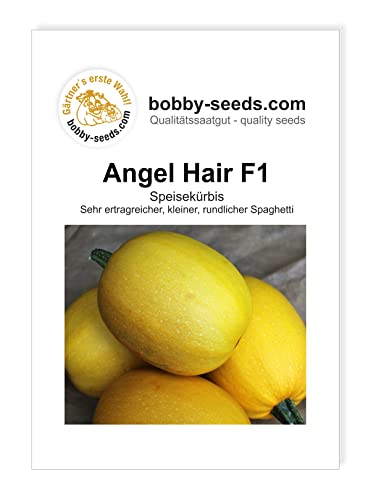 Kürbissamen Angel Hair F1 Portion von Gärtner's erste Wahl! bobby-seeds.com