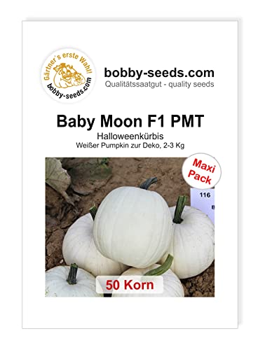 Kürbissamen Baby Moon F1 PMT Maxipack von Gärtner's erste Wahl! bobby-seeds.com