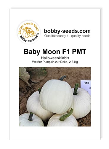 Kürbissamen Baby Moon F1 PMT Portion von Gärtner's erste Wahl! bobby-seeds.com