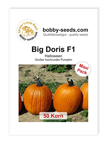 Kürbissamen Big Doris F1 Maxipack von Gärtner's erste Wahl! bobby-seeds.com