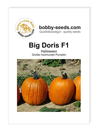 Kürbissamen Big Doris F1 Portion von Gärtner's erste Wahl! bobby-seeds.com