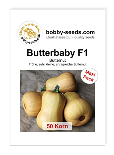 Kürbissamen Butterbaby F1 Maxipack von Gärtner's erste Wahl! bobby-seeds.com