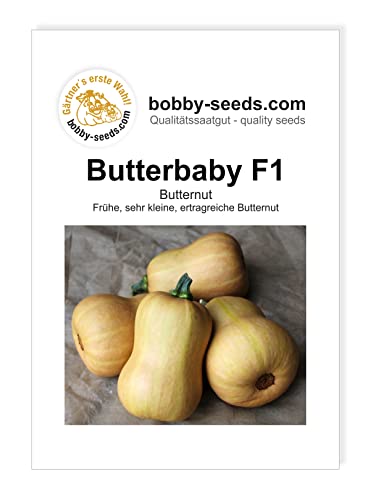 Kürbissamen Butterbaby F1 Portion von Gärtner's erste Wahl! bobby-seeds.com