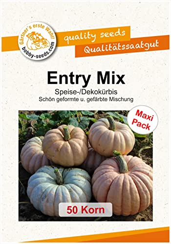 Kürbissamen Entry Mix 50 Korn von Gärtner's erste Wahl! bobby-seeds.com