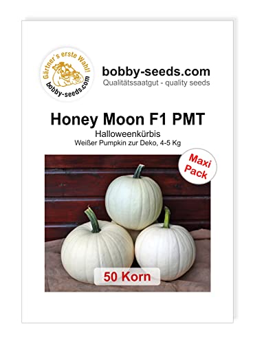 Kürbissamen Honey Moon F1 Maxipack von Gärtner's erste Wahl! bobby-seeds.com
