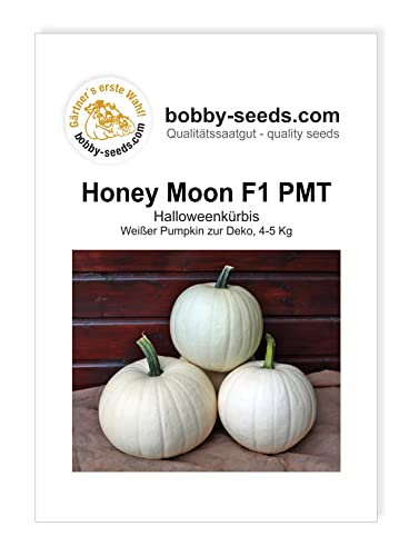 Kürbissamen Honey Moon F1 PMT Portion von Gärtner's erste Wahl! bobby-seeds.com