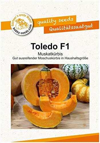 Kürbissamen Toledo F1 Portion von Gärtner's erste Wahl! bobby-seeds.com