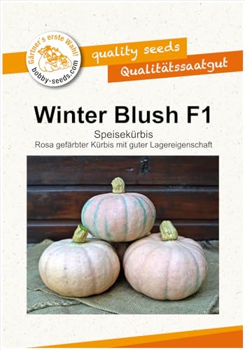 Kürbissamen Winter Blush F1 10 Korn Portion von Gärtner's erste Wahl! bobby-seeds.com