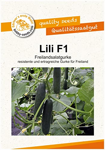 Lili F1 Freiland Gurken Samen von Bobby Seeds Portion von Gärtner's erste Wahl! bobby-seeds.com