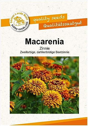Blumensamen Macarenia Zinnie Portion von Gärtner's erste Wahl! bobby-seeds.com