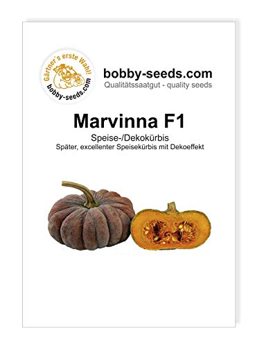 Marvinna F1 Kürbissamen von Bobby-Seeds, Portion von Gärtner's erste Wahl! bobby-seeds.com