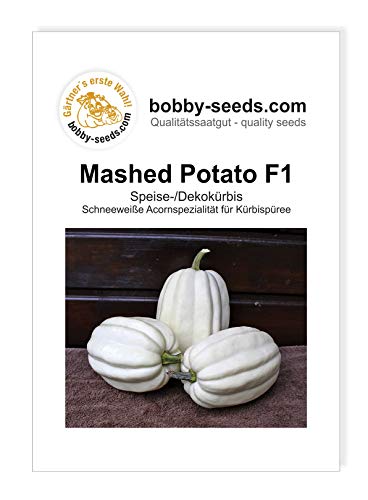 Mashed Potato F1 PMT Kürbissamen von Bobby-Seeds Portion Mashed Potato F1 PMT Kürbissamen von Bobby-Seeds Portion von Gärtner's erste Wahl! bobby-seeds.com