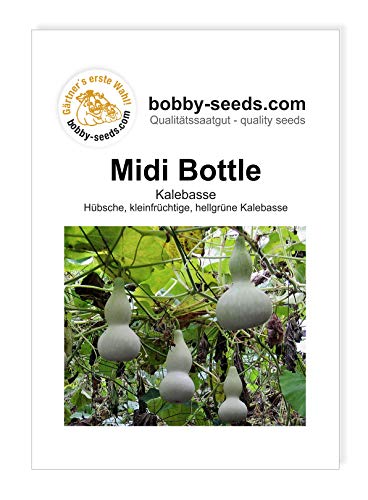 Midi Bottle Kürbissamen von Bobby-Seeds, Portion von Gärtner's erste Wahl! bobby-seeds.com