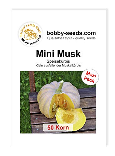 Mini Musk Kürbissamen von Bobby-Seeds, 50 Korn von Gärtner's erste Wahl! bobby-seeds.com