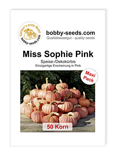 Miss Sophie Pink Kürbissamen von Bobby-Seeds, 50 Korn von Gärtner's erste Wahl! bobby-seeds.com