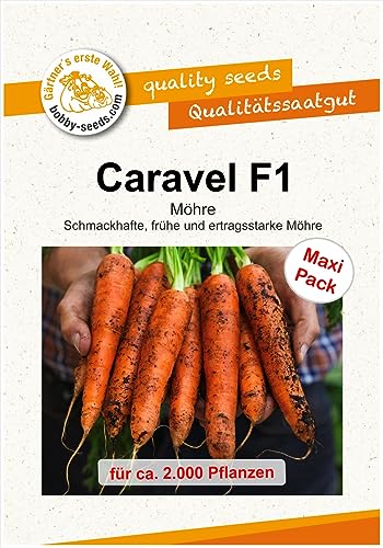 Möhrensamen Caravel F1, Geschmacksmöhre Maxipack von Gärtner's erste Wahl! bobby-seeds.com
