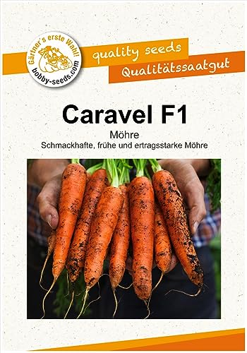 Möhrensamen Caravel F1, Geschmacksmöhre Portion von Gärtner's erste Wahl! bobby-seeds.com