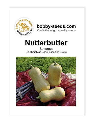 Nutterbutter Kürbissamen von Bobby-Seeds Portion von Gärtner's erste Wahl! bobby-seeds.com