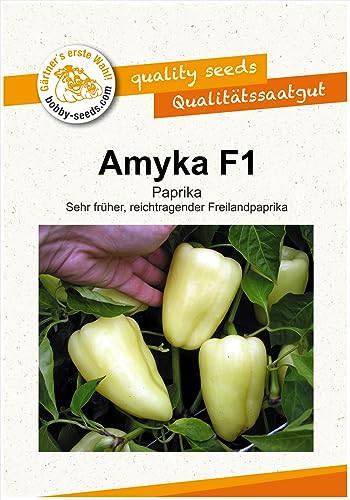 Paprikasamen Amyka F1 Blockpaprika Portion von Gärtner's erste Wahl! bobby-seeds.com