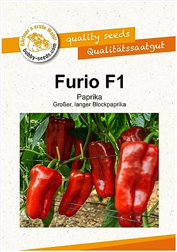 Paprikasamen Furio F1 Paprika Portion von Gärtner's erste Wahl! bobby-seeds.com