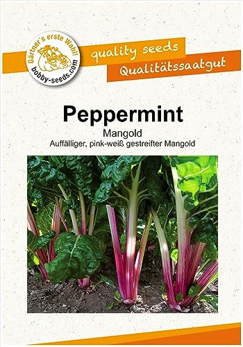 Gemüsesamen Peppermint Mangold Portion von Gärtner's erste Wahl! bobby-seeds.com