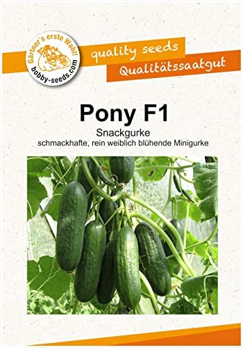 Pony F1 Snackgurkensamen von bobby-seeds Portion von Gärtner's erste Wahl! bobby-seeds.com