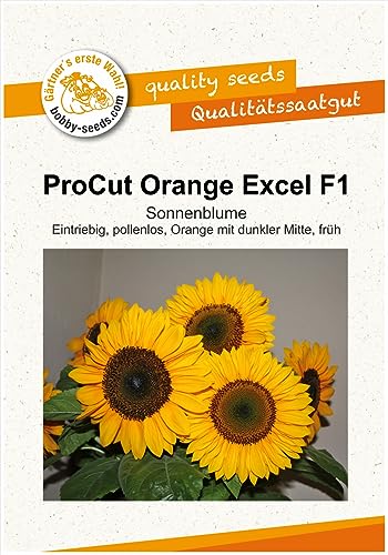Blumensamen ProCut Orange Excel F1 Sonnenblume Portion von Gärtner's erste Wahl! bobby-seeds.com