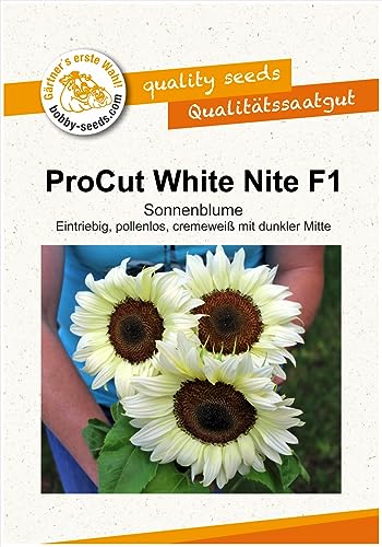 Blumensamen ProCut White Nite F1 Sonnenblume Portion von Gärtner's erste Wahl! bobby-seeds.com