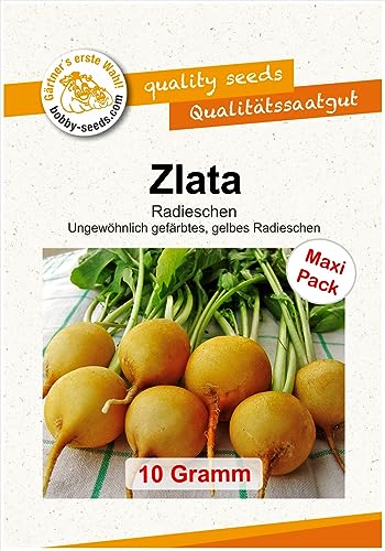 Radieschensamen Zlata gelb Maxipack Radieschensamen Zlata gelb Maxipack von Gärtner's erste Wahl! bobby-seeds.com