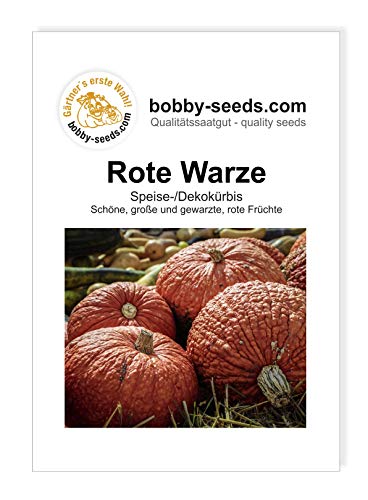 Rote Warze Kürbissamen von Bobby-Seeds, Portion von Gärtner's erste Wahl! bobby-seeds.com