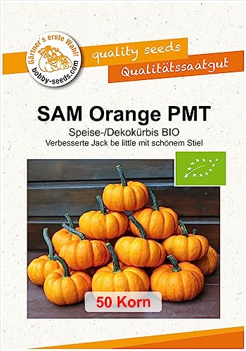 SAM Orange BIO Kürbissamen von Bobby-Seeds, 50 Korn von Gärtner's erste Wahl! bobby-seeds.com