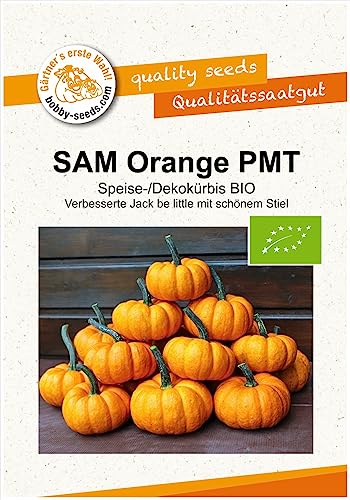 SAM Orange BIO Kürbissamen von Bobby-Seeds, Portion von Gärtner's erste Wahl! bobby-seeds.com