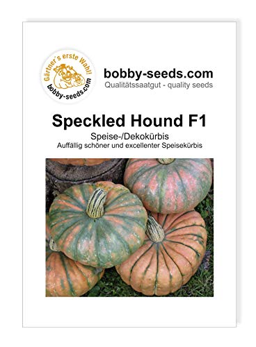 Speckled Hound F1 Kürbissamen von Bobby-Seeds, Portion von Gärtner's erste Wahl! bobby-seeds.com