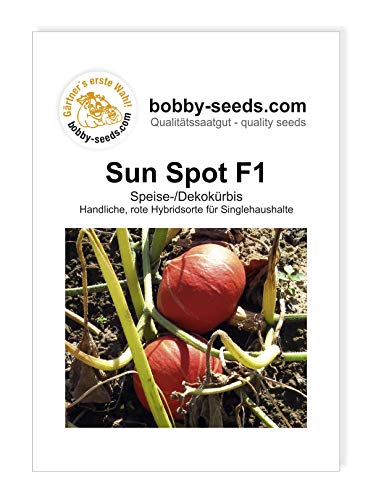 Sun Spot F1 Kürbissamen von Bobby-Seeds, Portion von Gärtner's erste Wahl! bobby-seeds.com