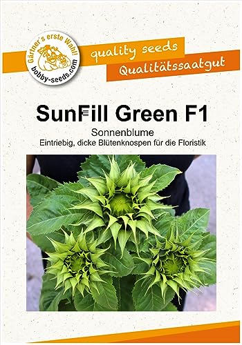 Blumensamen SunFill Green F1 Sonnenblume Portion von Gärtner's erste Wahl! bobby-seeds.com