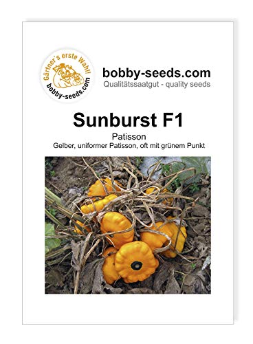 Sunburst F1 Kürbissamen von Bobby-Seeds, Portion von Gärtner's erste Wahl! bobby-seeds.com