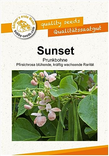 Bohnensamen Sunset Prunkbohnen Portion von Gärtner's erste Wahl! bobby-seeds.com