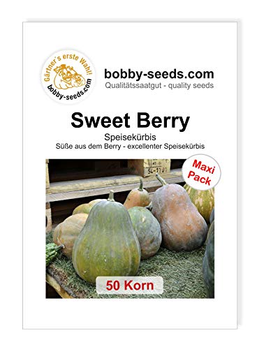 Sweet Berry - Sucrine de Berry Kürbissamen von Bobby-Seeds, 50 Korn von Gärtner's erste Wahl! bobby-seeds.com