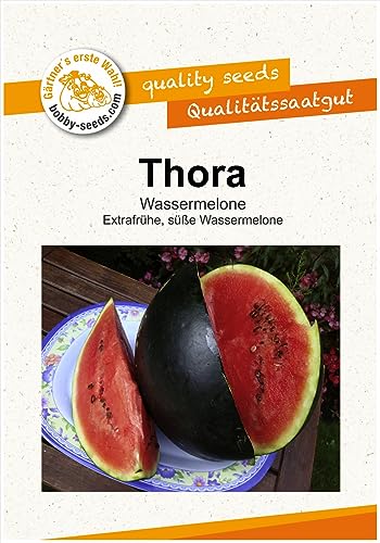 Thora Wassermelone Samen von Bobby-Seeds Portion Thora Wassermelone Samen von Bobby-Seeds Portion von Gärtner's erste Wahl! bobby-seeds.com