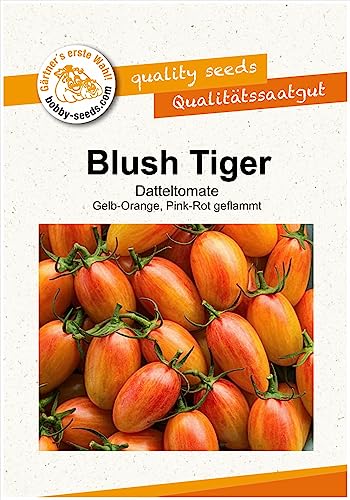 Tomatensamen Artisan Blush Tiger Datteltomate Portion von Gärtner's erste Wahl! bobby-seeds.com