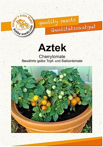 Tomatensamen Aztek Portion von Gärtner's erste Wahl! bobby-seeds.com