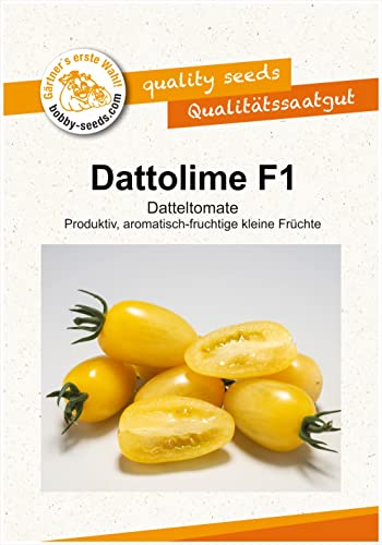 Tomatensamen Dattolime F1 Datteltomate Portion von Gärtner's erste Wahl! bobby-seeds.com