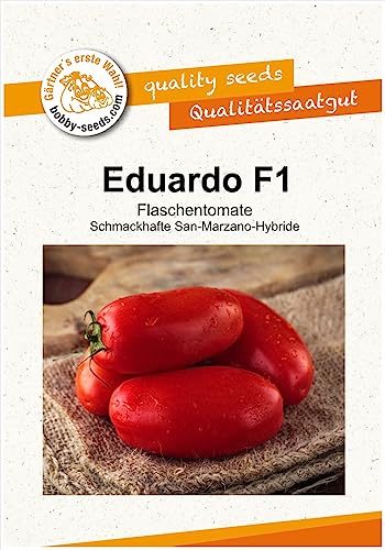 Tomatensamen Eduardo F1 Flaschentomate Portion von Gärtner's erste Wahl! bobby-seeds.com