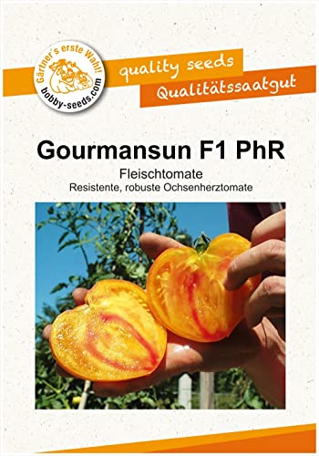Tomatensamen Gourmansun PhR F1 Fleischtomate Portion Gelb Tomatensamen Gourmansun PhR F1 Fleischtomate Portion Gelb von Gärtner's erste Wahl! bobby-seeds.com