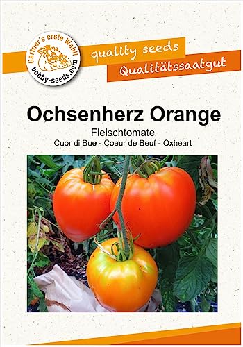 Tomatensamen Ochsenherz Orange Fleischtomate Portion von Gärtner's erste Wahl! bobby-seeds.com